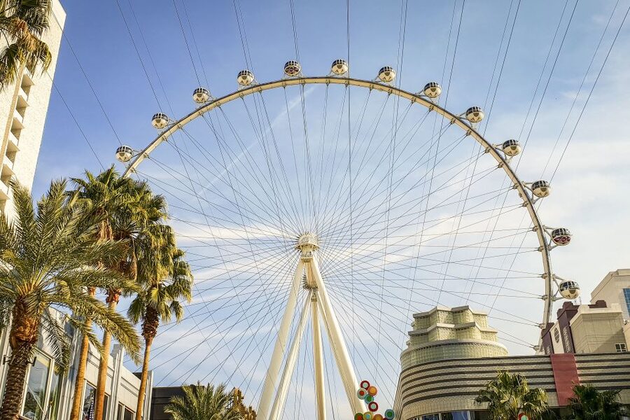 Las Vegas: FLY LINQ Zipline Ticket - Safety briefing and gear checks that actually matter