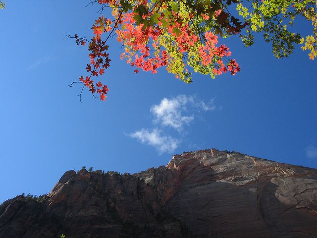 Las Vegas: Grand Canyon, Antelope, Bryce and Zion 3-Day Tour - Guides, timing, and the best way to get more out of the drive