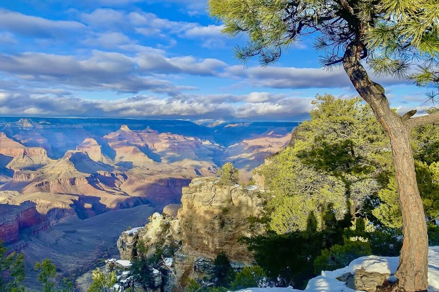Las Vegas: Grand Canyon National Park South Rim Guided Tour - Price and value, plus the non-US resident fee you must plan for