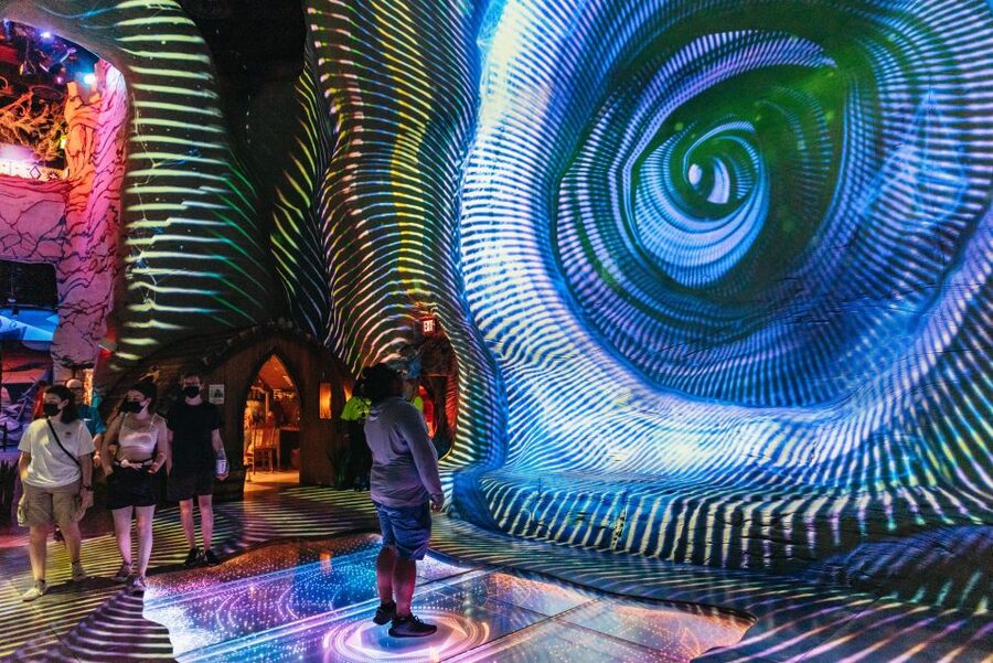 Las Vegas: Meow Wolf Omega Mart Ticket - Key Things to Know Before You Go