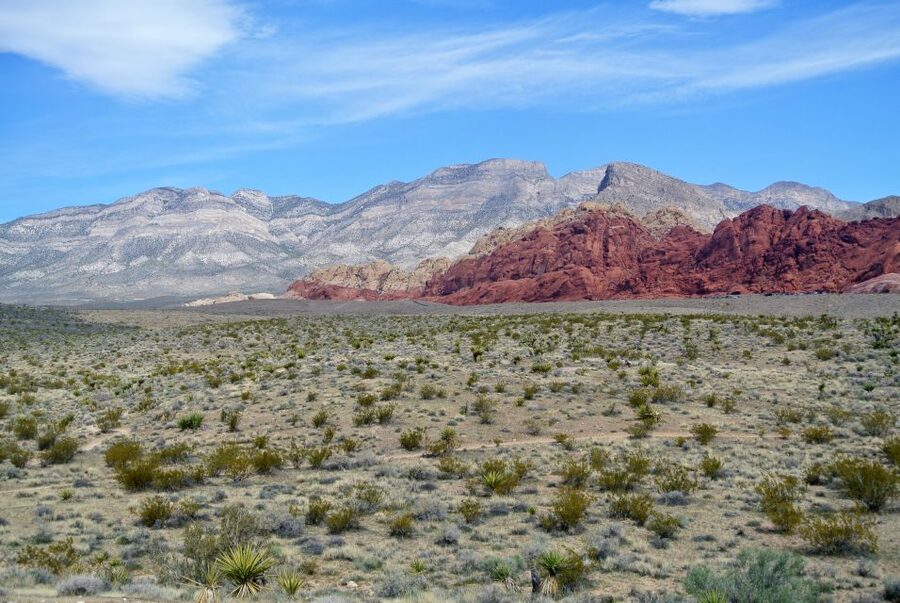 Las Vegas: Mojave, Red Rock Sign and 7 Magic Mountains Tour - Who This Tour Suits Best
