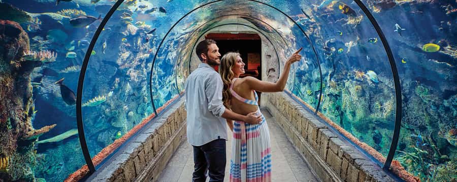 Las Vegas: Shark Reef Aquarium Entry Ticket - Inside the aquarium: that 360-degree Shark Reef tunnel effect