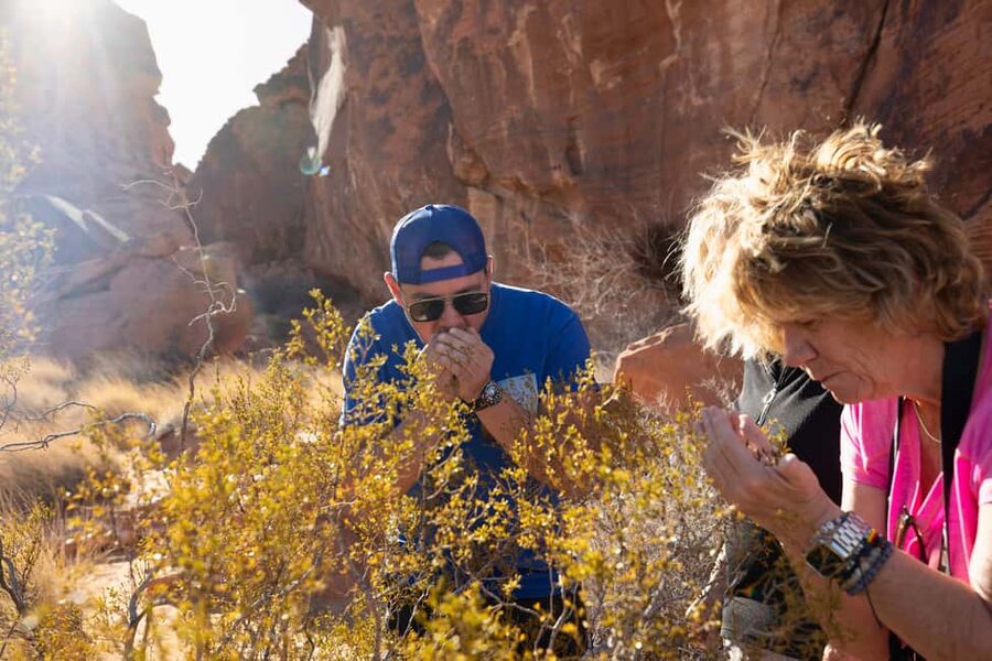 Las Vegas: Valley of Fire and Red Rock Canyon Day Trip - Key Things I’d Not Skip