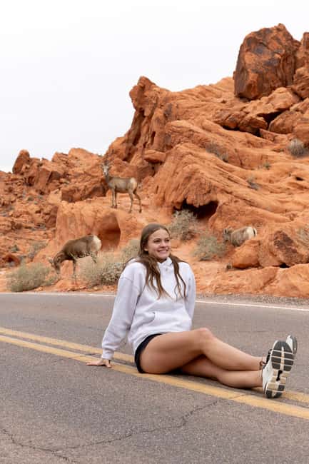 Las Vegas: Valley of Fire and Red Rock Canyon Day Trip - Why Sunrise at Valley of Fire Changes Everything