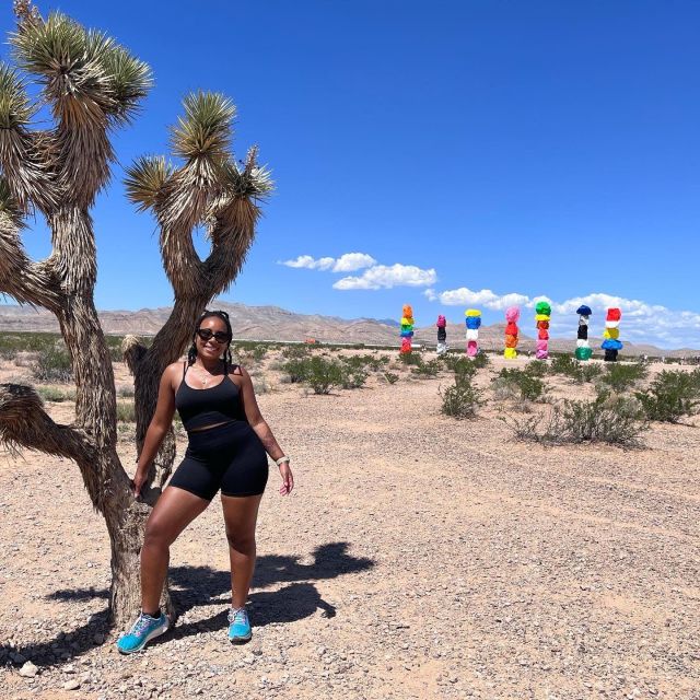 Las Vegas: Valley of Fire and Red Rock Canyon Day Trip - Red Rock Canyon: Short Visit, Big Payoff