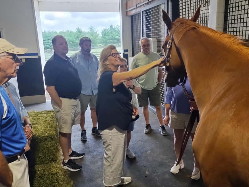 Lexington: Thoroughbred Horse Farm Tour and Scenic Bluegrass - Price, value, and the “should I do a horse tour here?” question