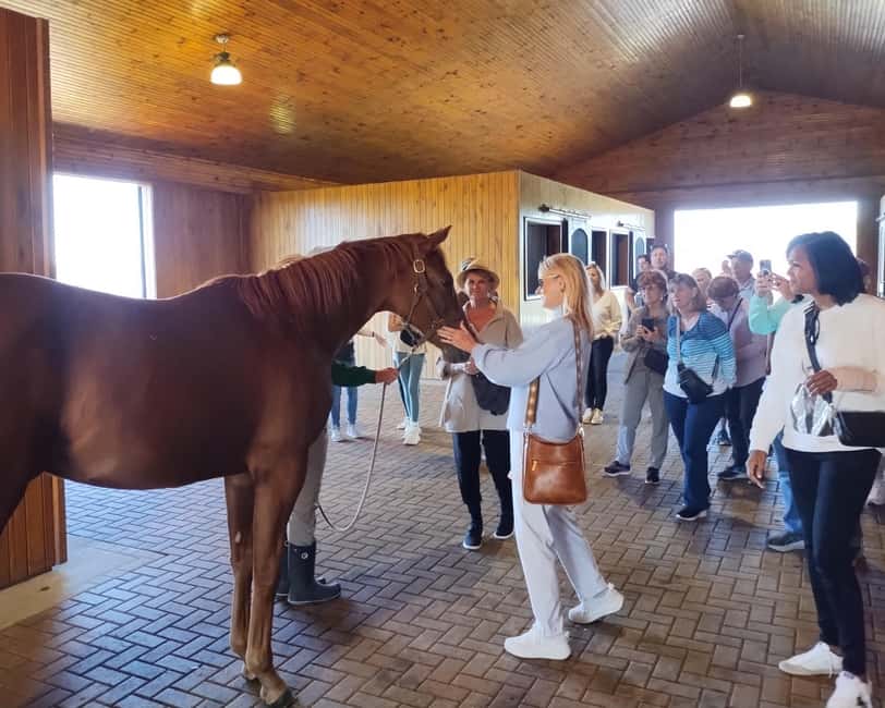 Lexington: Thoroughbred Horse Farm Tour and Scenic Bluegrass - First, let’s talk about what you’re really paying for