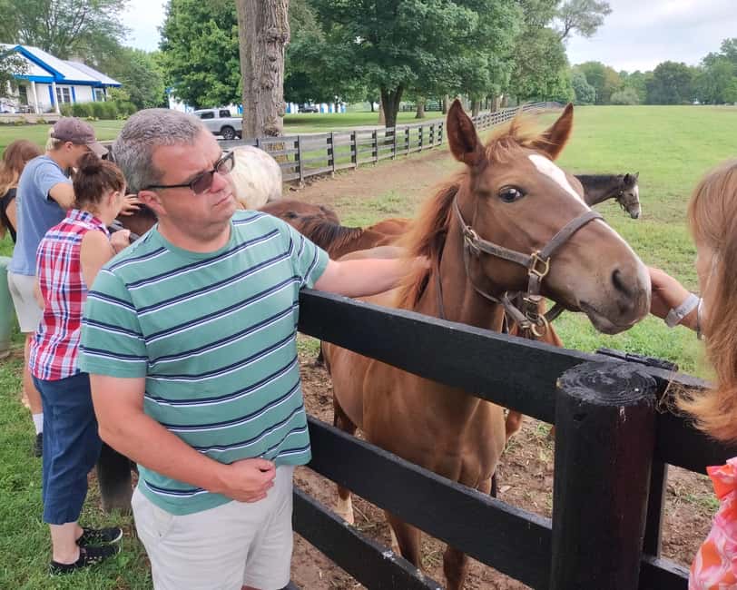 Lexington: Thoroughbred Horse Farm Tour and Scenic Bluegrass - The van, the group size, and the reality of hearing the guide