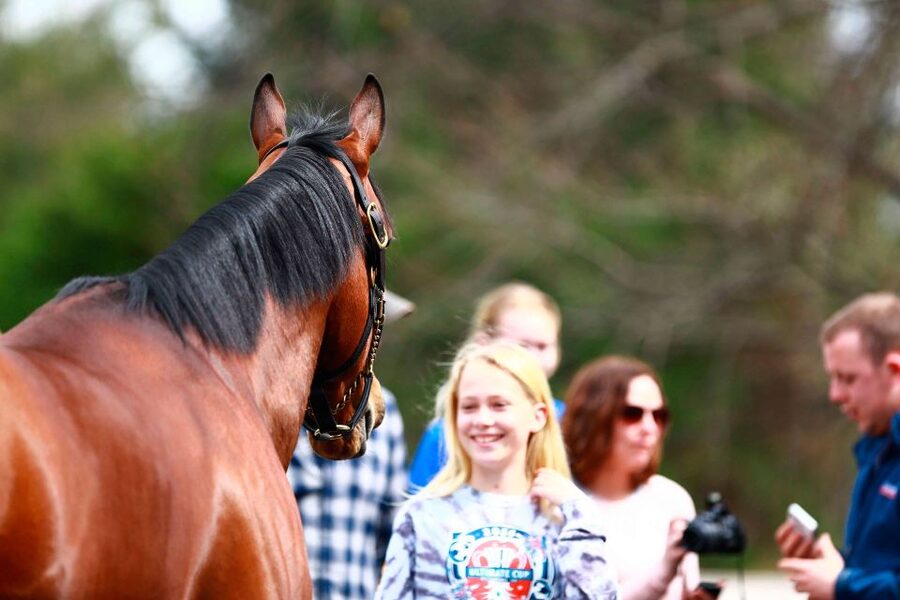 Lexington: Thoroughbred Horse Farm Tour and Scenic Bluegrass - Keeneland Race Course, movie filming locations, and why it feels special