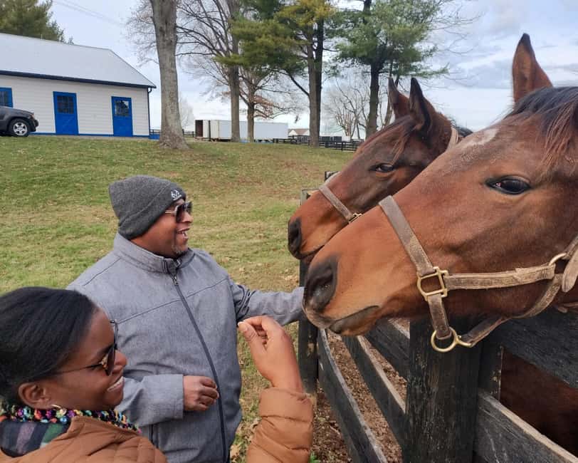 Lexington: Thoroughbred Horse Farm Tour and Scenic Bluegrass - Thoroughbred farm visits, what you should look for up close