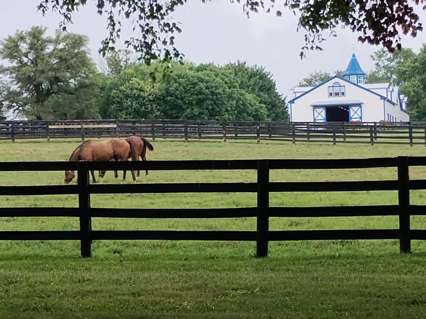 Lexington: Thoroughbred Horse Farm Tour and Scenic Bluegrass - Where the tour starts, and how the 3.5 hours usually feel