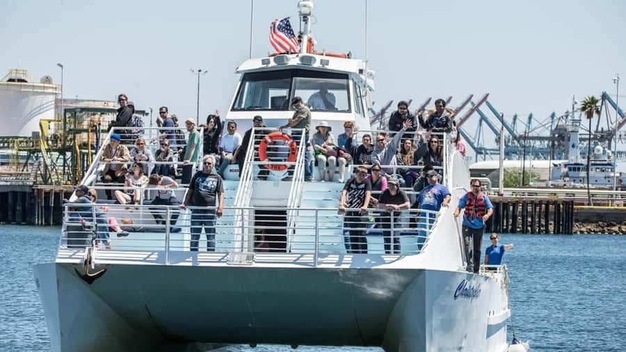 Long Beach: Whale and Dolphin Watching Cruise - Meeting points in Long Beach: choose the option that fits your day