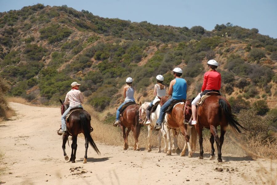 Los Angeles: 2-Hour Hollywood Trail Horseback Riding Tour - Key things I’d pay attention to