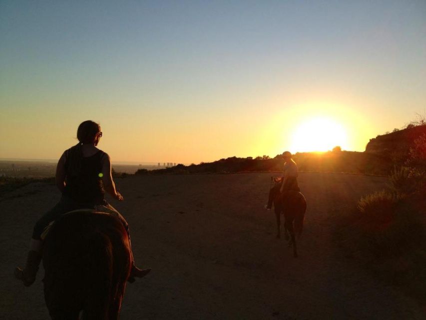 Los Angeles: 2-Hour Hollywood Trail Horseback Riding Tour - Hollywood Sign and Griffith Observatory: good views, manage the expectations