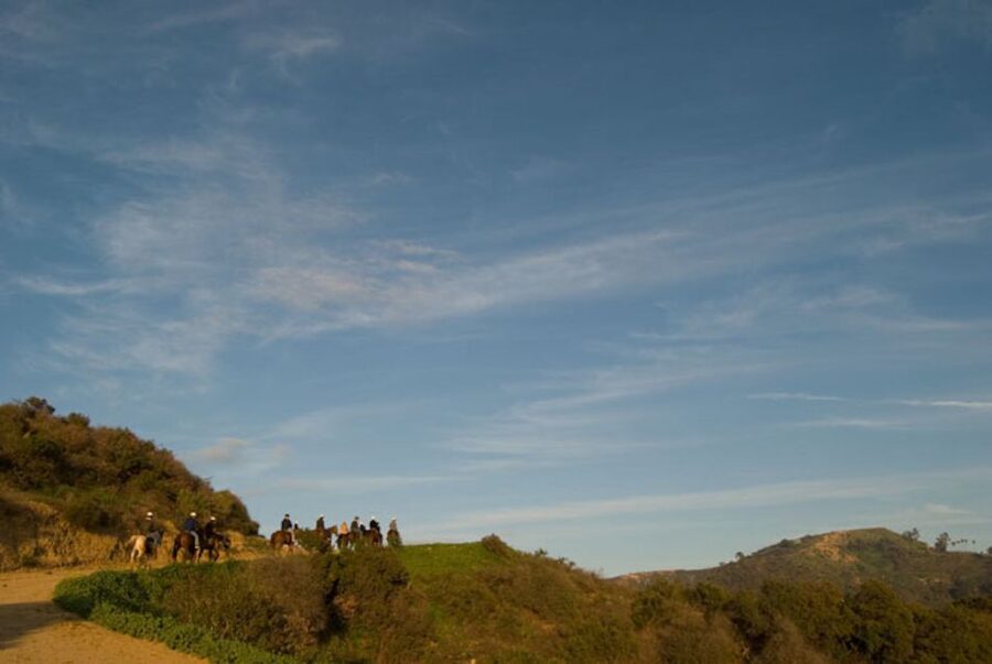 Los Angeles: 2-Hour Hollywood Trail Horseback Riding Tour - Horses and safety: calm by design, with real limits