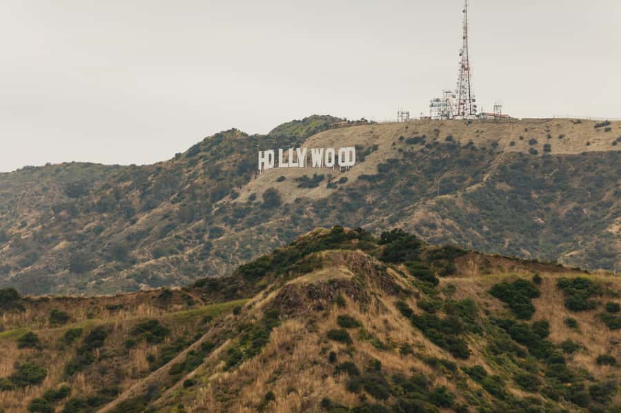 Los Angeles: Half-Day Best of LA Tour - Weather, timing, and how to feel less rushed