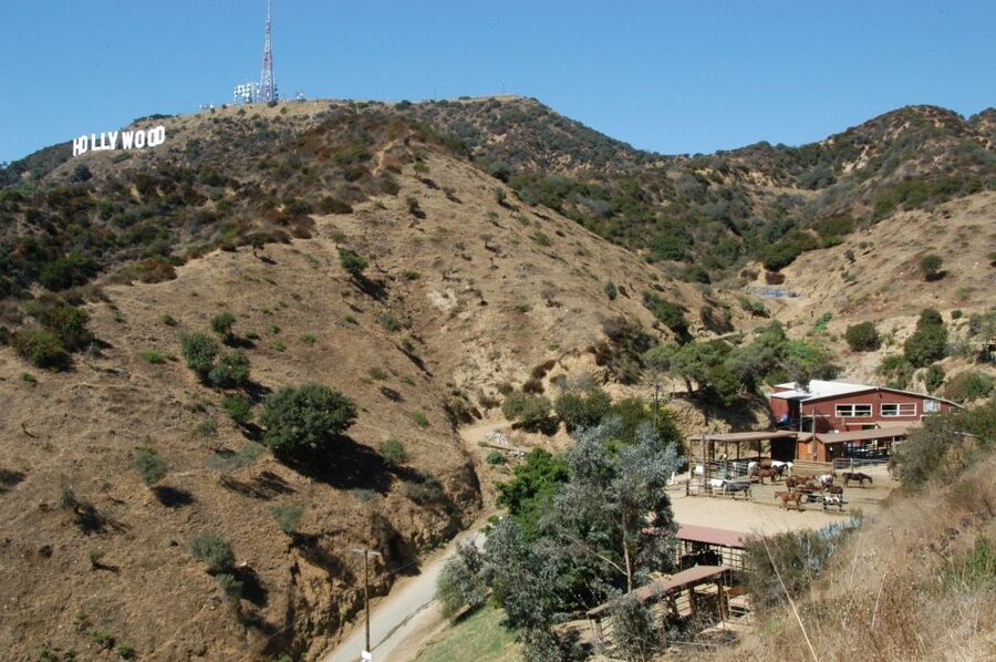 Los Angeles: Mulholland Trail Horseback Riding Tour - Why This Mulholland Trail Ride Feels Like Real LA