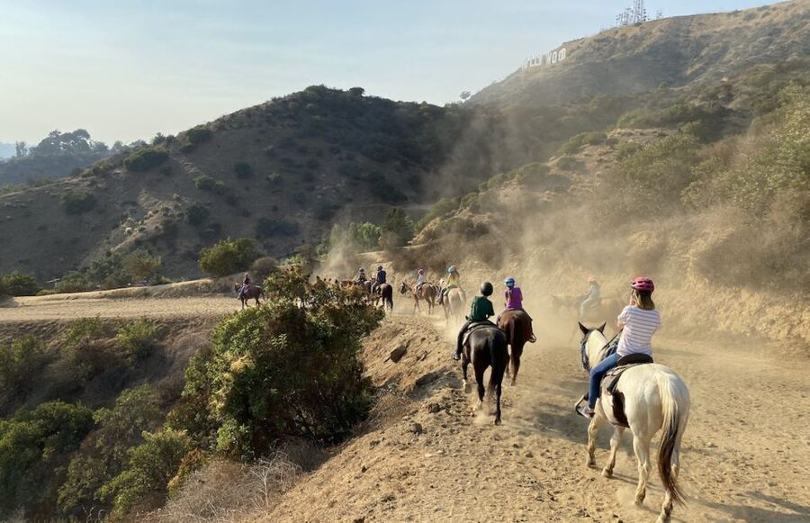 Los Angeles: Mulholland Trail Horseback Riding Tour - The Pre-Ride Setup: Helmets, Horse Matching, and First-Time Confidence