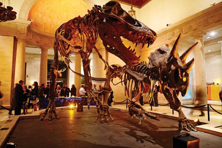 Los Angeles: Natural History Museum of LA Entry Ticket - Key takeaways