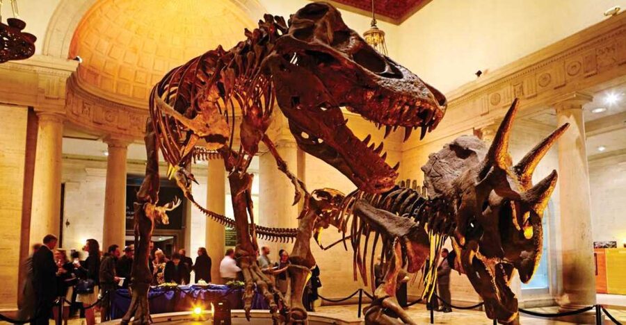 Los Angeles: Natural History Museum of LA Entry Ticket - Dinosaur Hall, 20 Complete Dinosaurs, and the T. rex Growth Series