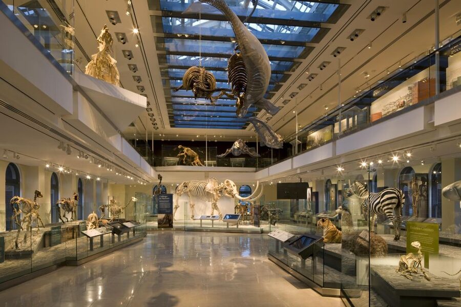 Los Angeles: Natural History Museum of LA Entry Ticket - Becoming Los Angeles: From Environment to City Story