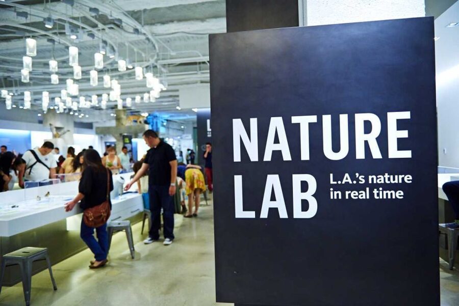 Los Angeles: Natural History Museum of LA Entry Ticket - Nature Gardens and Nature Lab: A Breather with 3.5 Acres to Roam