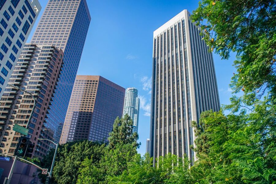 Los Angeles: Small Group Sightseeing Tour - Hollywood Walk of Fame and Chinese Theater: Where to Look First