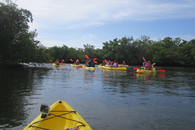 Lovers Key Guided Eco Tour-Mangrove Estuary - Why a Guide Makes This Worth It: Karen and Stephen