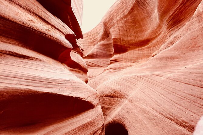 Lower Antelope Canyon and Horseshoe Bend Day Tour with Lunch - Drivers and guides: what good service looks like here