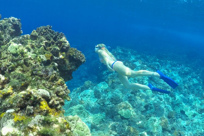 Luxury Kona Coast Snorkel Tour Including Lunch - Pali Kaholo: Rob’s Reef Sea Caves and Turtle Rock Black Sand