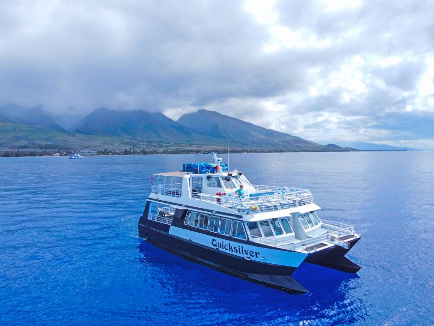 Ma'alaea Harbor: Whale Watching Tour Aboard Power Catamaran - Key things I’d zero in on