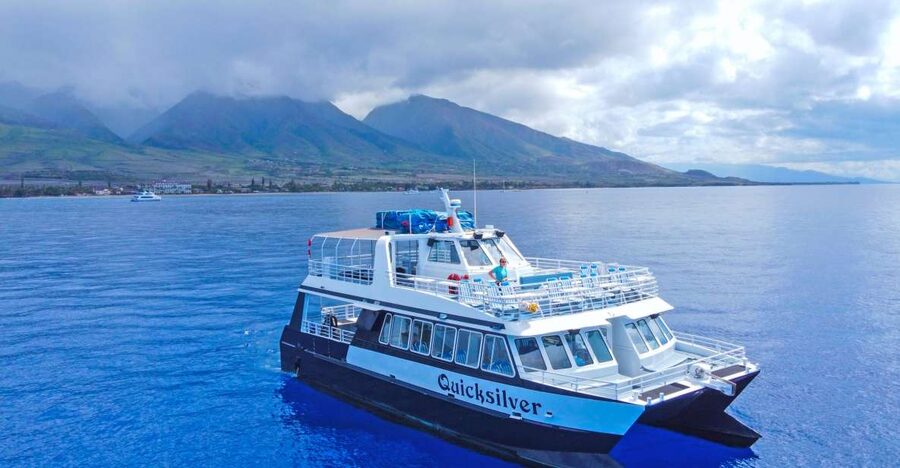 Ma'alaea Harbor: Whale Watching Tour Aboard Power Catamaran - Where to meet, and how to not waste time before you board