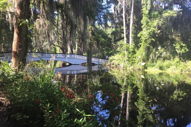 Magnolia Plantation Admission & Tour with Transportation from Charleston - Getting From Downtown Charleston to Magnolia Plantation (Air-Conditioned Ride, Mid-Morning Start)