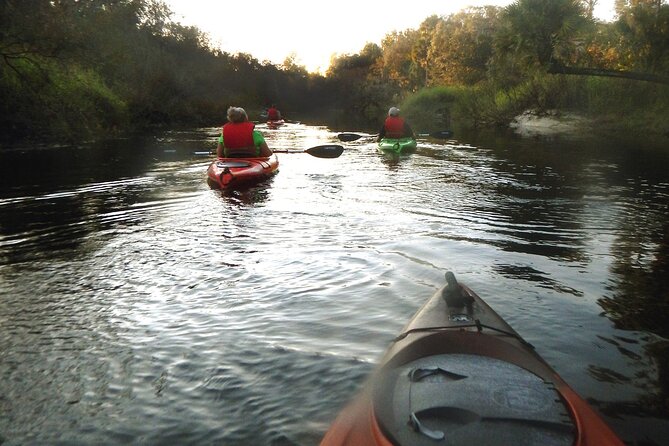 Manatee and Dolphin Kayaking Encounter - Where You Start: Haulover Canal and the Refuge Mindset