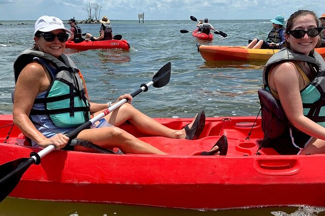 Manatee and Dolphin Kayaking Encounter - Who This Kayak Tour Fits Best