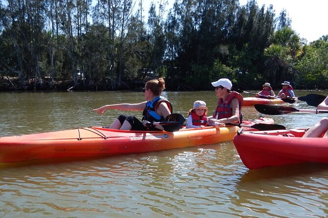 Manatee and Dolphin Kayaking Encounter - The Value Angle: Why This Feels Worth It