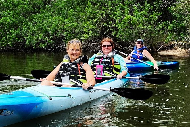 Manatee and Dolphin Kayaking Encounter - What to Bring (So Your Trip Stays Fun, Not Annoying)