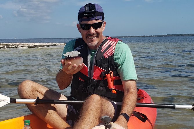 Manatee and Dolphin Kayaking | Wildlife Refuge (Titusville) - Quick practical tips so you enjoy every minute