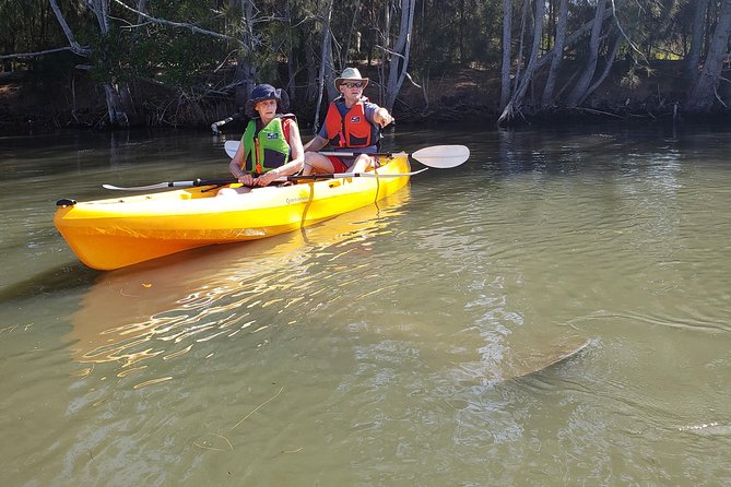 Manatee and Dolphin Kayaking | Wildlife Refuge (Titusville) - What the 90-minute paddle is like on the water