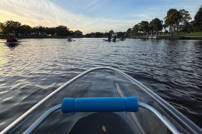 Manatee Season Clear Kayak Tour of Tarpon Springs - Key highlights you should care about