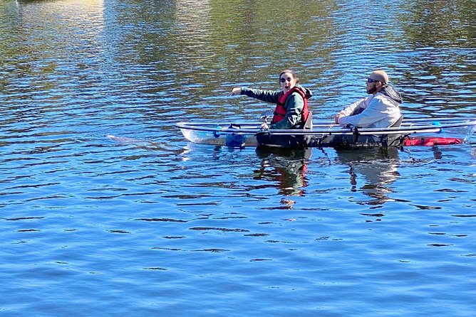 Manatee Season Clear Kayak Tour of Tarpon Springs - Stop 1, Anclote River mangrove island: birds, crabs, and sponge stories