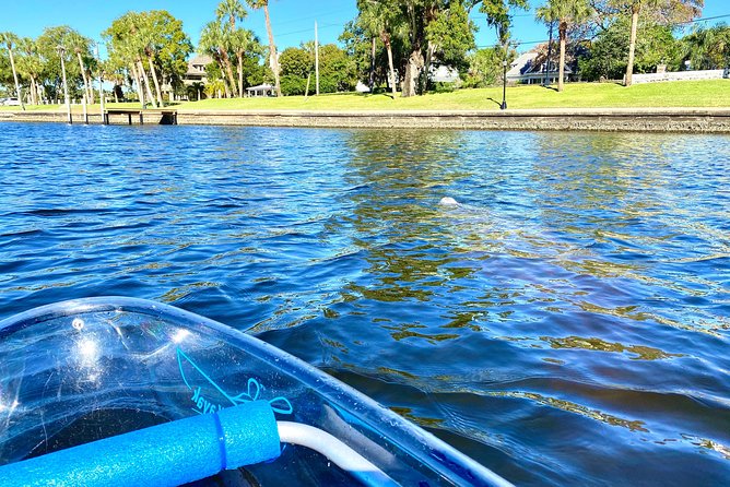 Manatee Season Clear Kayak Tour of Tarpon Springs - What guides actually do for your experience (Jesse, Raven, Cami, and more)