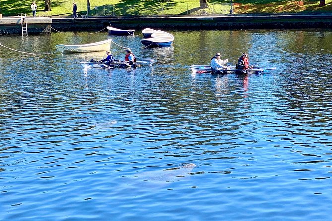 Manatee Season Clear Kayak Tour of Tarpon Springs - Group size and pace: comfortable for most, not a couch float