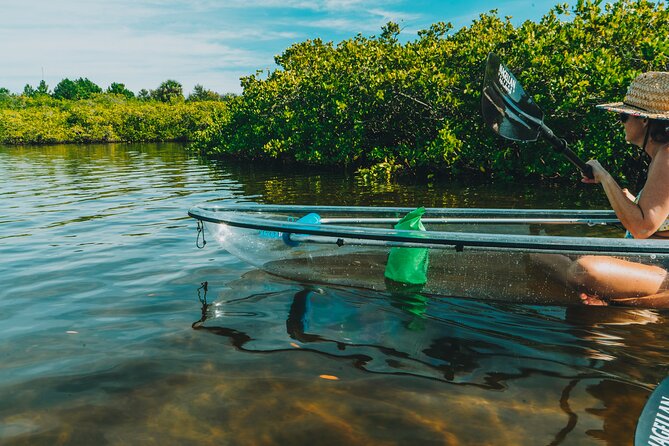 Manatee Season Clear Kayak Tour of Tarpon Springs - Clear kayaks and real wildlife viewing, not a gimmick