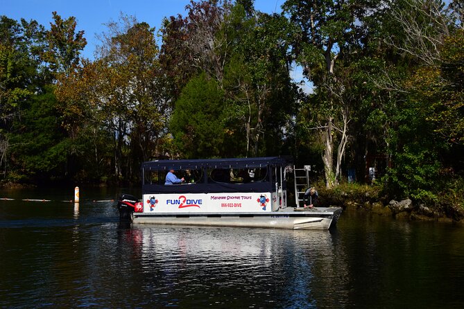Manatee Snorkel Small Group Tour - Key highlights worth knowing before you go