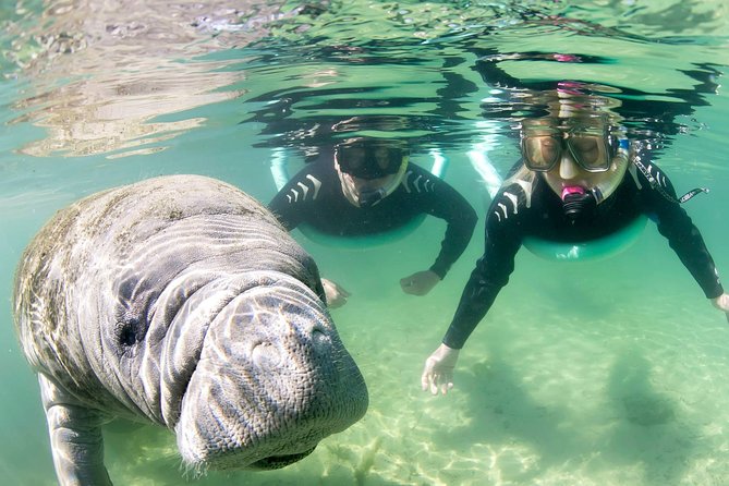 Manatee Snorkel Small Group Tour - Boat ride time: scenic, short, and part of the experience