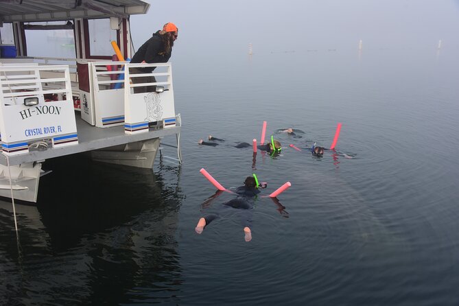 Manatee Snorkel Small Group Tour - Price and value: what $95 buys you in the real world