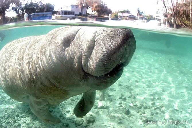 Manatee Snorkel Small Group Tour - Stop 1 in downtown Crystal River: check-in, wetsuit fit, and photos