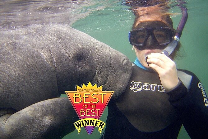 Manatee Snorkel Tour from American Pro Diving Center - Price and what you truly get for $65