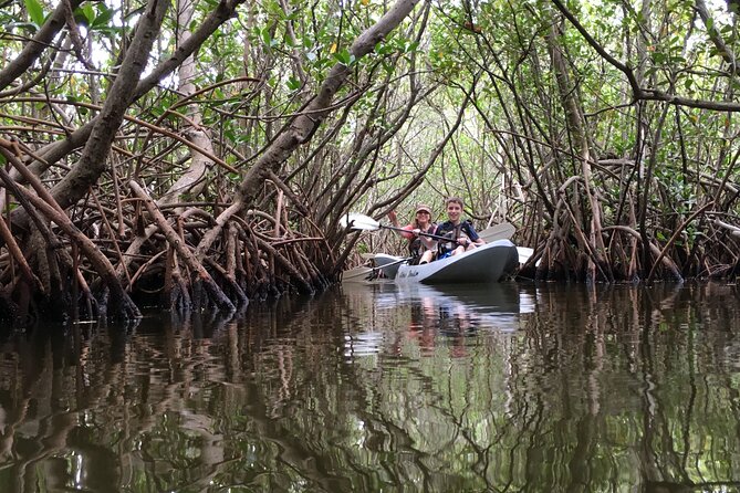 Mangrove Tunnels, Dolphins, Manatee Tour #1 Rated in Cocoa Beach - Why Cocoa Beach mangrove tunnels are the main reason to go